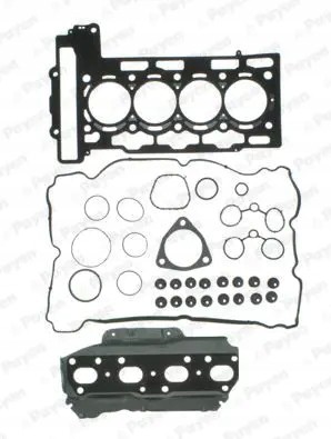 Payen CH6730 Zest head gaskets ch6730 payen citroen