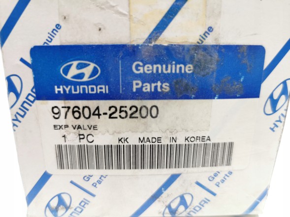 Hyundai OE 97604 25200 Expansion valve hyundai accent 1999- oe f108cbxla 97604 25200