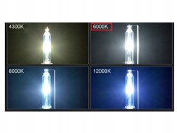 ZR  Bulbs pair hid xenon d5s cold color light 6000k 12v can-bus xenon