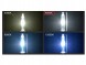 ZR  Bulbs pair hid xenon d5s cold color light 6000k 12v can-bus xenon