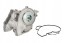 Thermotec WP-ME181 Coolant pump thermotec wp-me181