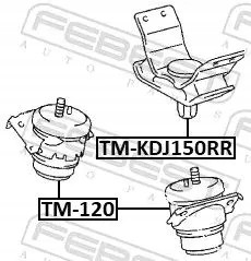 Febest  Engine cushion front hydrobearing tm-120