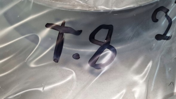 Fiat OE TARCZE HAMULCOWE TYLNE KPL MOPAR 51964082 ALFA 159 GIULIETTA 500X RENEGADE Rear brake discs set mopar 51964082 alfa 159 giulietta 500x renegade