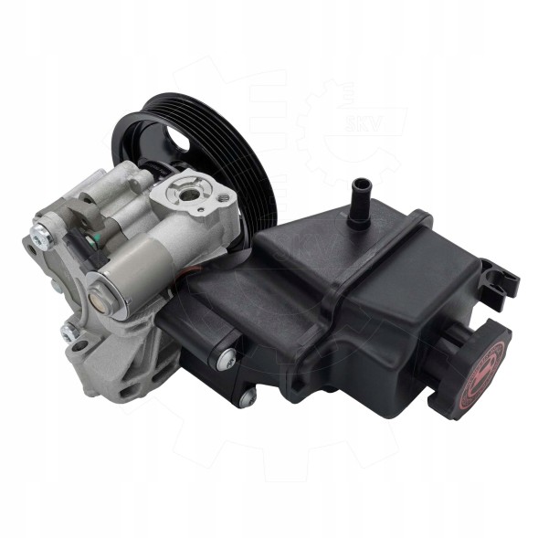 ESEN SKV  Power steering pump 10skv359 mercedes-benz e-class slc slk a0064665701