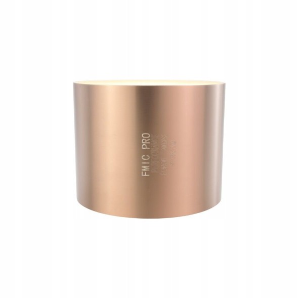 FMIC FP-CORE-002 Sports catalyst petrol euro 6 200 cpsi diameter 130mm length 100mm