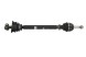 POINT GEAR  Drive axle - point gear png72156
