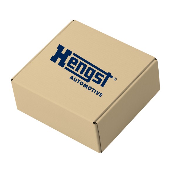 Hengst Filter HG100H D831 Transmission hydraulic filter - hengst hg100h d831