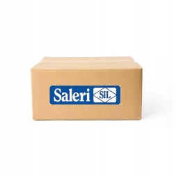 Saleri Sil Additional water pump (cooling water circulation)