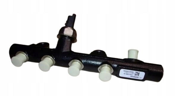 Renault OE 175210651R Injection strip 175210651r renault dacia 1.5dci original