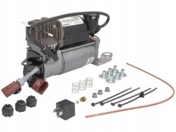 Arnott P-2984 A4070143_i pneumatic suspension compressor.