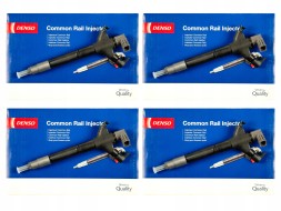 Buchli  Injector cr - dcri105600