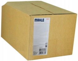 Mahle ACP 22 000S Ford air conditioning compressor