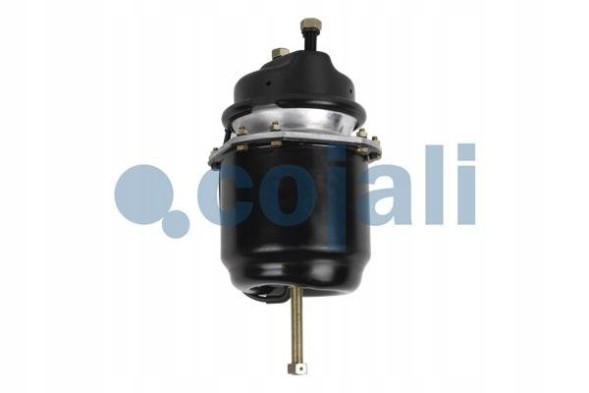 Cojali 2251515 Motor ham.24/30" car discs m16x1,5 stroke 57 mm sila spr.12kn (sk