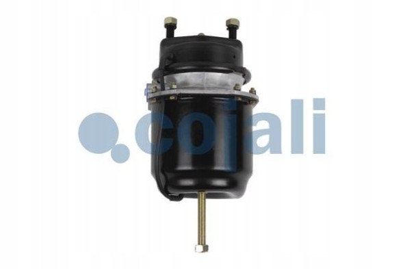 Cojali 2251515 Motor ham.24/30" car discs m16x1,5 stroke 57 mm sila spr.12kn (sk