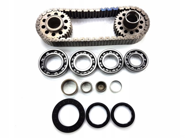 Mercedes-Benz OE ACG03368 Chain distribution box dcs reducer mercedes ml 164 w164