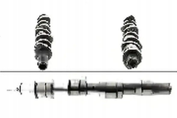 Schaeffler INA 428 0130 10 Camshaft 428 0130 10 ina audi vw a4 b6 (8e2)