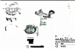 Schaeffler INA 530 0546 30 Timing set + water pump 530 0546 30 ina audi