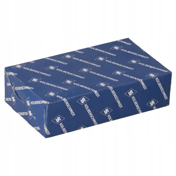 Kolbenschmidt 42190600 Tlok set with rings