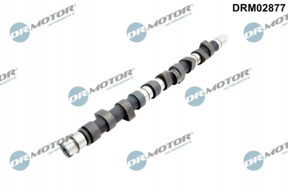 Dr.Motor DRM02877 Camshaft drm02877 dr.Motor automotive vw