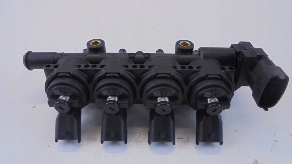 Renault OE 175230616R Dash duster ii injection rail