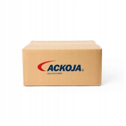 Ackoja  Ackoja a52-11-0031 ackoja a52-11-0031 injector