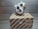 Fiat OE S26338155 Gearbox housing 55265479 46338177 fiat ducato 2.2 mjet 2021-