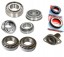 CHINA  Gearbox bearing kit 20gp citroen jumper 2.0 / 2.2 / 2.3