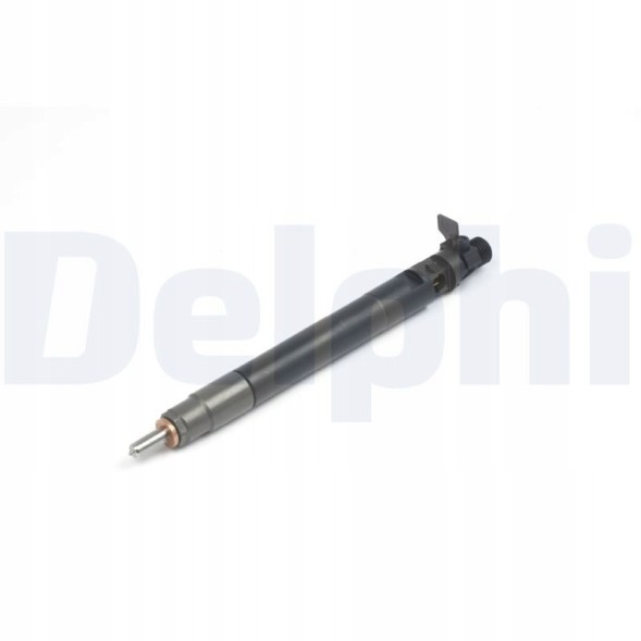Delphi  Injector delphi r00101dp-12b1