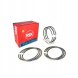 CHINA 23150-STD-RIK RIK Piston rings rik 10410 nissan yd22 dci/eti 2.2l (std)