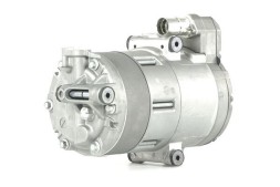 CHINA ACP 1454 000P Air conditioning compressor - mahle acp 1454 000p