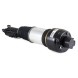 Arnott  Arnott as-2245 air shock absorber pneumat front le