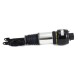 Arnott  Arnott as-2245 air shock absorber pneumat front le