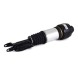 Arnott  Arnott as-2245 air shock absorber pneumat front le