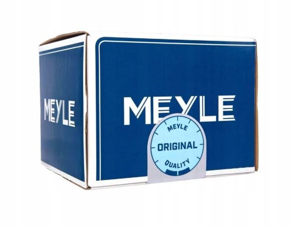 Meyle  Water pump vw 1,8/2,0tfsi (module) 1132200033 meyle