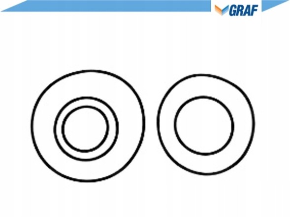 Graf GRAPA1011(iMOTO) Water pump vw 2,8tdi lt 02- graf + driver's kit #35