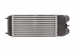 Thermotec DAC003TT Intake air cooler - thermotec dac003tt