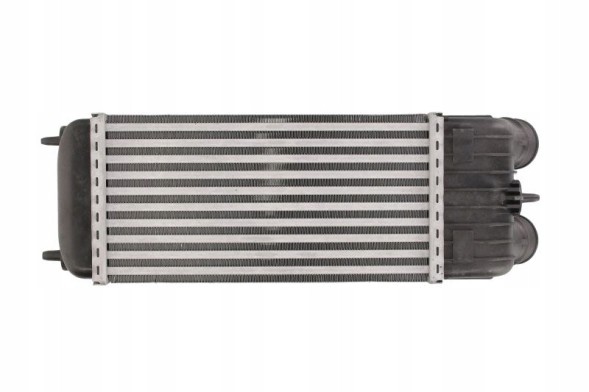 Thermotec DAC003TT Intake air cooler - thermotec dac003tt