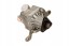 Meyle 314 631 0009 Meyle power steering pump bmw 3 e30 1.8-2.7/2.4d 82-93