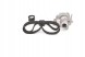 Bosch  Timing set + water pump 1 987 946 442 bosch