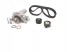 Bosch  Timing set + water pump 1 987 946 442 bosch