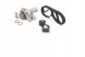 Bosch  Timing set + water pump 1 987 946 442 bosch