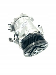 Delphi 60016002 DEL Deltsp0159270 air conditioning compressor opel astra g, + driver assistant #33