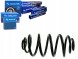 Sachs  Suspension spring opel zafira b 1.6-2.2 07.05- + driver's essential #37