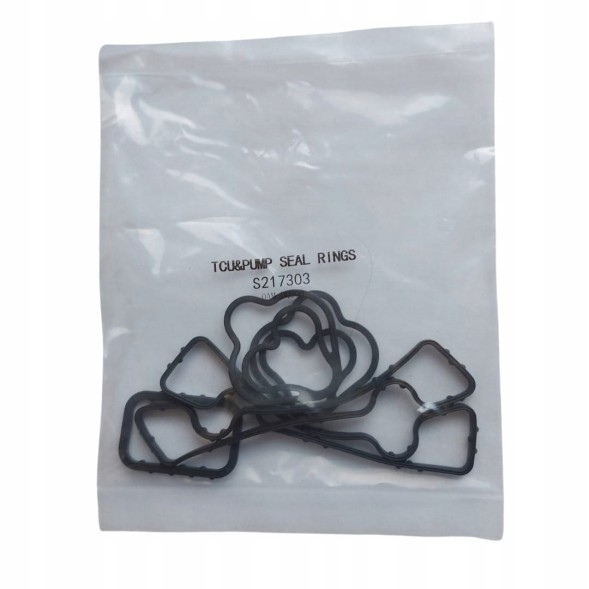 CHINA 0AM.REP01 Repair kit mechatronics vag 0am/dq200 block