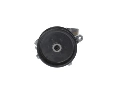 Bosch  81351199_I power steering pump