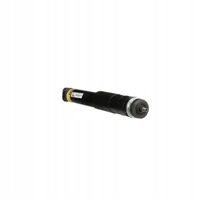 Arnott  Shock absorber sk-3311 arnott
