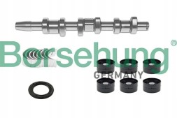 Borsehung  Camshaft set b18665 borsehung
