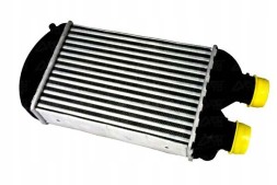 Thermotec PRO/DAF002TT THE Intercooler fiat brava bravo and marea multipla 1.9d + collision assistant #34