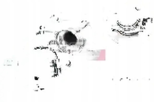 Schaeffler FAG  Wheel bearing 713 6920 20 fag dodge fiat freemont