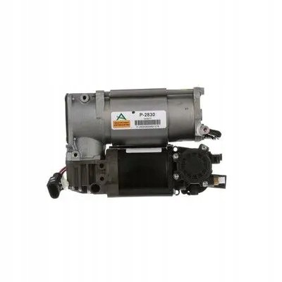 Arnott P-2830 Компресор повітря p-2830 arnott